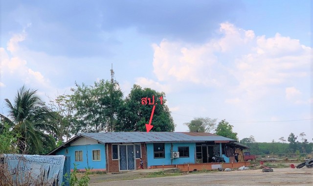  รายละเอียดเพิ่มเติม Code ID : PKK02-14053  ราคาขาย  7,384,000 บาท- ขนาดพื้นที่ :   7977.00 ตร.ว.- พื้นที่ใช้สอย :  128 ตรม - จำนวนห้อง : 2 ห้องนอน 2 ห้องน้ำ   - ที่จอดรถ :   2    คัน- บ้านหันทางทิศ : - พิกัดทรัพย์ : https://maps.app.goo.gl/3zv7wsayarT1d1Yq5    สถานที่ใกล้เคียง- ใกล้ตลาดนัดบ้านปลาขาว- ใกล้โรงพยาบาลน้ำขุ่น อำเภอน้ำขุ่น - ใกล้ป.ถูกชูเปอร์สโตร์ น้ำขุ่น- ใกล้อาหารบ้านเฮาคาเฟ่ สอบถามเพิ่มเติม/นัดชมโทร. 097-419-5982(พลอย)โทร. 096-932-4624(ออมสิน