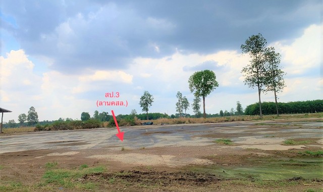 ขายบ้านเดี่ยวใกล้ ตลาดนัดบ้านปลาขาว อำเภอน้ำยืน จังหวัดอุบลราชธานี PKK02-14053