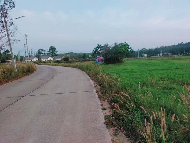 ขายที่ดินหน้ากว้างติดถนนสวยมาก 3 ไร่เขตวังหว้า อ.แกลง ระยองใกล้ชุมชน