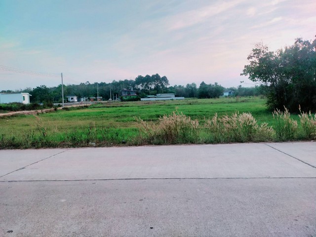 ขายที่ดินหน้ากว้างติดถนนสวยมาก 3 ไร่เขตวังหว้า อ.แกลง ระยองใกล้ชุมชน