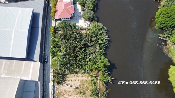 ขายที่ดินริมน้ำ ติดคลอง สนามชัย ตำบลพันท้ายนรสิงห์ จ. สมุทรสาคร