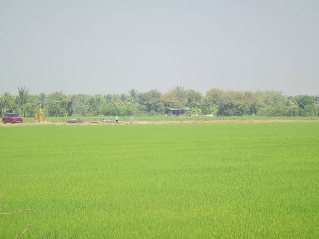 ขายที่ดิน 5 ไร่ โฉนด ฉ.5667 ต.บ่อเงิน อ.ลาดหลุมแก้ว จ.ปทุมธานี  เช่า 1500/ไร่/ปี ขาย ไร่ละ 800,000 บาท แบ่งโฉนดขาย ซื้อผ่อนเจ้าของได้ ที่ดินอยู่ใกล้สถานที่สำคัยมากมายแปลงนี้ข้อดี จุดน่าสนใจ บรรยากาศดี วิวดีได้วิวธรรมชาติ พื้นที่สวยอากาศดีโล่งโปร่งสบาย เหมาะแก่การทำการเกษตรเกษตรสวนผสม หรือสร้างบ้านหรือที่พักอาศัยได้อยู่ใกล้โรงเรียนวืทยาศาสตร์จุฬาภรณ์ราชวิทยาลัย ใ