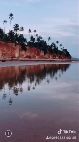 ขายที่ดินติดทะเล แปลงเล็กแบ่งขาย 100 วาขึ้นไป ตารางวาละ 6500 บาท  หาดผาฝั่งแดง  UNSEEN YHAILAND  ที่ดินหายาก แห่งเดียวในประเทศไทย ที่ดินใกล้ทะเลบนเนินผาสง่างาม แลเห็นทิวทัศน์รายล้อมสวยงามตระการตา พร้อมขาย ขายพร้อมโอน ขายที่ดินใกล้ทะเล หาดผาฝั่งแดง ทะเล สูงจาก ระดับน้ำทะเลประมาณ 5- 6 เมตร ฝั่งแดง ทะเลสวยน้ำใส ชุ่มฉ่ำเย็นสบายตลอดปี ไม่มีเบื่อ หนีร้อนคลายทุกข์สูดอากาศสดช