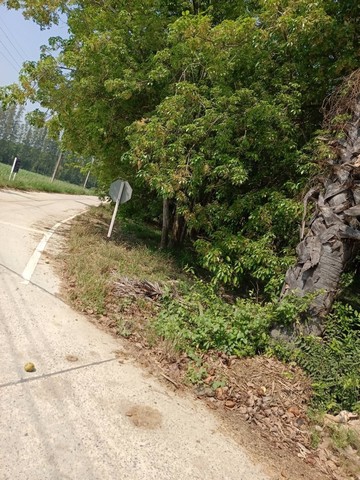 Sub0976ขายที่ดิน 5 ไร่ ติดถนน อ.บ้านบึง จ.ชลบุรี ขายยกแปลง  6,000,000 บาท ราคาขายยกแปลง  6,000,000 บาท สนใจติดต่อ086-108-8103 แอดไลน์เบอร์นี่ได้เลยที่ขนาด 5 ไร่ ติดถนน มีทางเข้า-ออก สะดวก ที่ดินเป็นส่วนยาง พร้อมกรีดยางได้เลย พิกัดhttps://www.google.com/maps?f=q&q=13.240408266010018,101.19788665687075