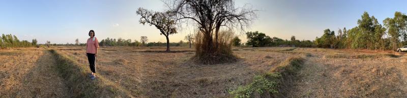 ขายที่ดิน 23 ไร่  เจ้าของขายเอง  บ้านโนนสา จ.อุดรธานีที่ตั้ง : ตำบลนาม่วง อำเภอประจักษ์ศิลปาคม จังหวัดอุดรธานี 41110https://maps.app.goo.gl/GXh3w4WJqAeuV3hr6ขนาดพื้นที่ : 23 ไร่ รายละเอียดขายที่ดิน 23 ไร่ ๆ 3.5 แสน (ขายยกแปลง ไม่แบ่งขาย) บ้านโนนสา จ.อุดรธานี ที่ดินสวยมากๆทำเลดีสุดๆ เจ้าของขายเองค่ะโฉนดพร้อมโอนสถานที่ใกล้เคียงสำคัญ- โรงพยาบาล 3 กม- โรงเรียน  2 กม- ตลาด 1.5 กมเจ้าของขายเองราคาขายไร่ละ 350,0