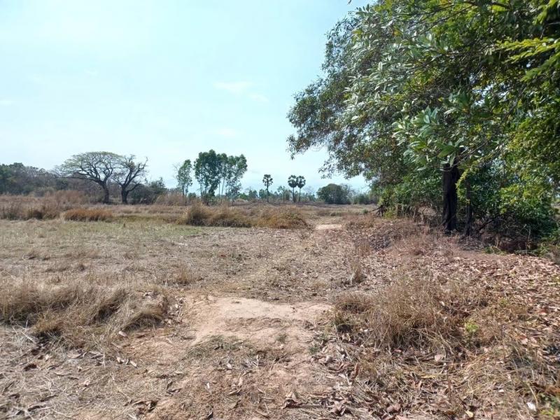 ขายที่ดิน 23 ไร่  เจ้าของขายเอง  บ้านโนนสา จ.อุดรธานี