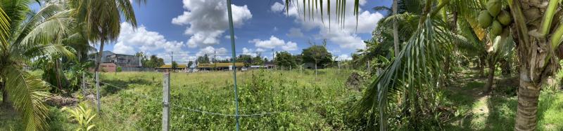 ขายที่ดินทำเลทอง เหมาะกับการทำปั๊มน้ำมัน ห้างสรรพสินค้า ตำบลควนขนุน อำเภอควนขนุน จังหวัดพัทลุง