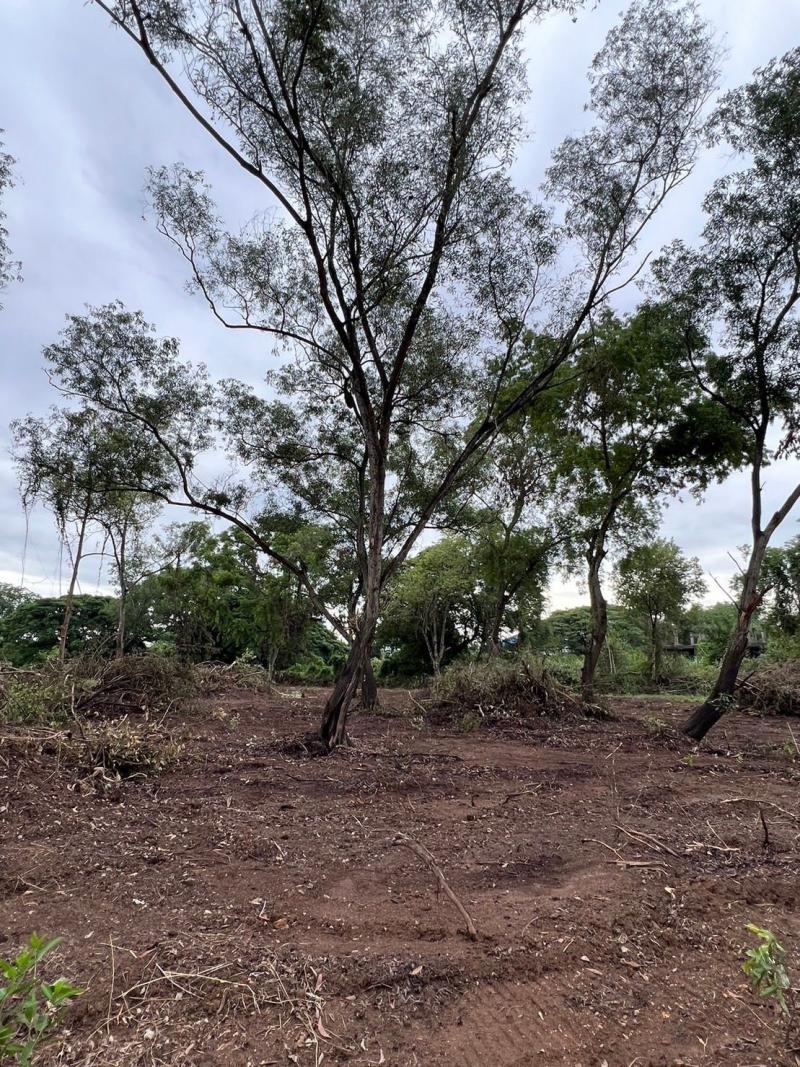 ขายที่ดิน 18 ไร่ เจ้าของขายเอง ตำบลบ้านเลน อำเภอบางปะอิน จังหวัดพระนครศรีอยุธยา