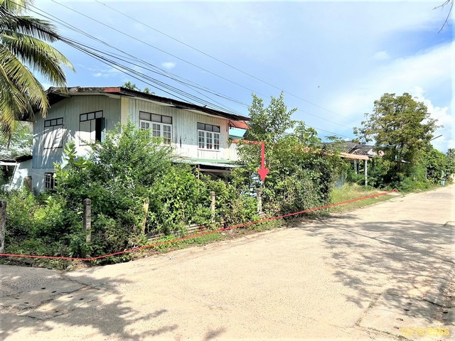   รายละเอียดเพิ่มเติม Code ID : PKK02-12632  ราคาขาย 2,409,000  บาท- ขนาดพื้นที่ :   237.00 ตร.ว.- พื้นที่ใช้สอย :   175.5- จำนวนห้อง :  2 ห้องนอน 1 ห้องน้ำ  - ที่จอดรถ :     1  คัน- บ้านหันทางทิศ : - พิกัดทรัพย์ : https://maps.app.goo.gl/zqNhkpbK5RrFCVxP8    สถานที่ใกล้เคียง- ใกล้มินิบิ้กซีพยุห์ - ใกล้ โรงพยาบาลพยุห์    - ใกล้โลตัสโกเฟรช พยุห์- ใกล้เอ็นทีมินิมาร์ท    สอบถามเพิ่มเติม/นัดชมโทร. 097-419-5982(พลอย)โทร. 096-932-4624(ออมสิน)Line : @panaya (มี@ด้านหน้า)ปรึกษาสิน�