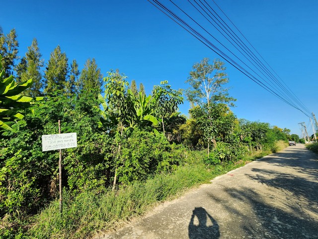 ขายที่ดิน แปลงสวย ถมแล้ว ติดวัดพระธรรมกาย  ซ.คลองสาม 9/5 พื้นที่ 124 ตร.ว. อ.คลองหลวง จ.ปทุมธานี
