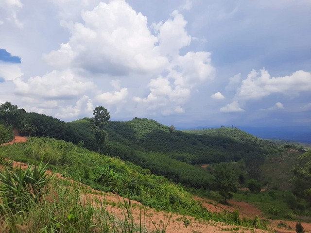 ขายที่ดิน วิวภูเขา จ.เพชรบูรณ์ จำนวน 23ไร่ 2งาน 5 ตรว ราคาไร่ล่ะ 65,000 บาท ขายยกแปลง 