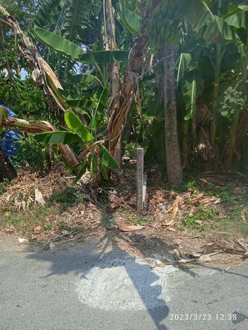 ขายที่ดินถมแล้ว เนื้อที่ 57 ตารางวา ชุมชน  เปรมวดี พุทธมณฑลสาย 3 ซอย 19 แยก 20