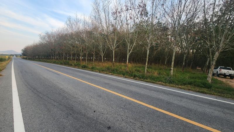 ขายที่ดิน เจ้าของขายเอง เขาคันทรง อ.ศรีราชา จ.ชลบุรี