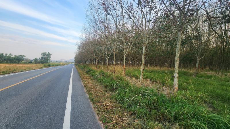 ขายที่ดิน เจ้าของขายเอง เขาคันทรง อ.ศรีราชา จ.ชลบุรี