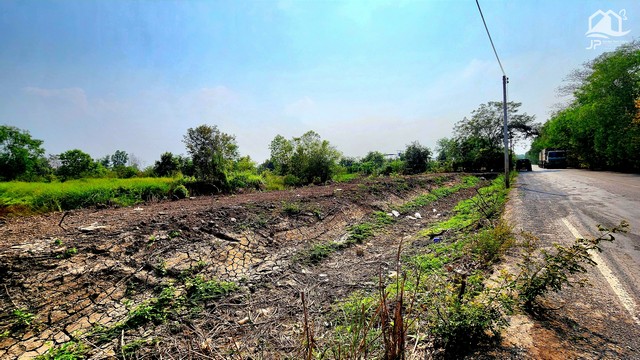 ขายที่ดินติดถนนลาดยาง คลอง 15 องครักษ์ 5 ไร่  อยู่ใกล้สนามกอล์ฟ เหมาะทำรีสอร์ท ทำร้านอาหาร ปลูกบ้าน ทำการเกษตรพอเพียง