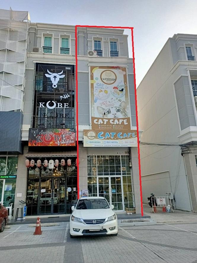 EPL-BR0077 ให้เช่าอาคาร 4.5ชั้น  ใกล้ BTSอุดมสุข ติดถนนสุขุมวิท103 อุดมสุข บางนา เนื้อที่ 28 ตรม.พื้นที่ใช้สอย 250ตรม. 4 ห้องนอน 4 ห้องน้ำ