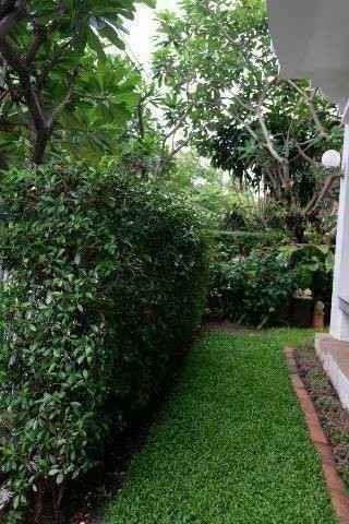 EPL-HR3055 ให้เช่าบ้านเดี่ยว 2 ชั้น ใกล้เมกาบางนา หมู่บ้านมัณฑนา ศรีนครินทร์ ขนาด 60 ตารางวา พื้นที่ใช้สอย 220 ตรม.3 ห้องนอน 4 ห้องน้ำ