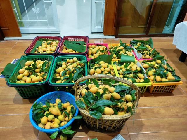 ขายที่ดิน ภ.บ.ท.5(ไม่ใช่โฉนด) พร้อมต้นทุเรียน และมะยงชิด ตำบลชะอม  อำเภอแก่งคอย  สระบุรี