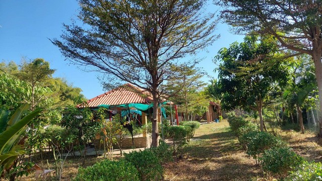 ขายที่ดินพร้อมสิ่งปลูกสร้าง  1-0-29 ไร่ บ้านจอมศรี อ.เพ็ญ จ.อุดรธานี  ZP092