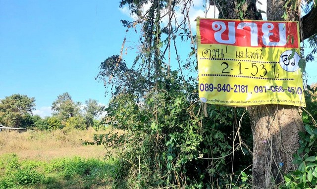 ZP069ขายที่ดินติดถนน 2-1-53 ไร่ หลังโรงเรียนเซนต์ปอล จ.หนองคายที่ตั้ง :  ต.หาดคำ อ.เมือง จ.หนองคายเนื้อที่ : 2-1-53 ไร่กว้างประมาณ 80 เมตร ลึกประมาณ 48 เมตรสถานที่ใกล้เคียง-โรงเรียนเซนต์ปอลหนองคาย-ปั้มน้ำมันบางจาก ถ.หนองคาย-โพนพิสัย-แหล่งท่องเที่ยวศาลาแก้วกู่-วิทยาลัยเทคนิคหนองคายแห่งที่ 2-โรงน้ำแข็งชื่นจิตราคาขาย: 5,000,000 บาท  ( ค่าโอนคนละครึ่ง )สนใจติดต่อ-คุณอร : 089-8402181-ID LINE : nok..iq-คุณเ