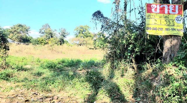 ขายที่ดินติดถนน 2-1-53 ไร่ หลังโรงเรียนเซนต์ปอล จ.หนองคาย   ZP069