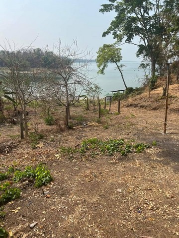 ขายที่ดิน แบ่ง 4 ไร่จากทั้งหมด 12 ไร่ ติดทะเลสาบศรีนครินทร์ อำเภอศรีสวัสดิ์ จังหวัดกาญจนบุรี