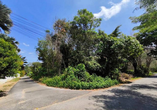 ขายที่ดิน 1 ไร่ 71 ตรว. ราคา 3.45 ลบ. พิกัด อ่าวนาง เมืองกระบี่