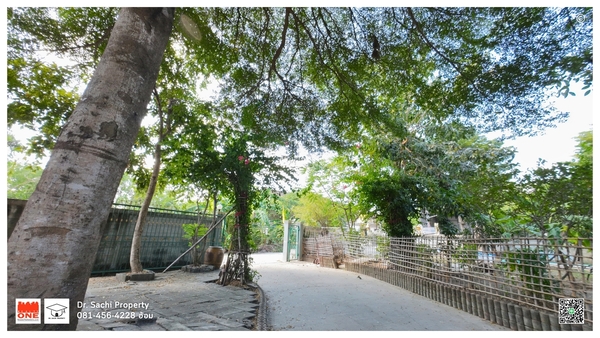 ขายที่ดินพร้อมสิ่งปลูกสร้าง เนื้อที่ 1 ไร่ 50 ตรว. อ.บางเลน จ.นครปฐม ใกล้ดูบัว คาเฟ่ ฟาร์ม, วัดบางพระ (หลวงพ่อเปิ่น)