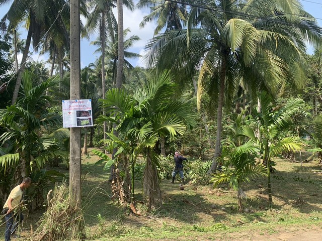 ที่โฉนด 336 ตรว.ต.หาดทรายรี อ.เมืองชุมพร ติดถนน  2ด้าน ราษฏร์พัฒนาซอย 2ใกล้ชายหาดทรายรี 0.9 กม