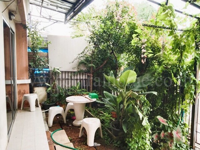 R1 ทาวน์เฮ้าส์ บ้านพฤกษา 49 บางใหญ่-แก้วอินทร์ ถูกในโครงการ ใกล้ เซ็นทรัลเวสต์เกต