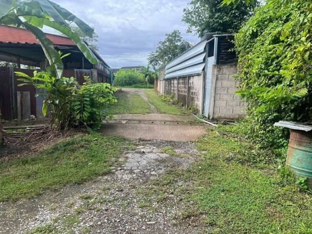 โซนแม่ริม ขาย 1.3 ล้าน เนื้อที่ 112 ตรว. แม่สา ใกล้ศูนย์ราชการเชียงใหม่ ใกล้เมือง เดินทางสะดวกสบาย