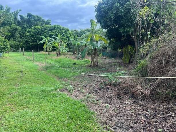 โซนแม่ริม ขาย 1.3 ล้าน เนื้อที่ 112 ตรว. แม่สา ใกล้ศูนย์ราชการเชียงใหม่ ใกล้เมือง เดินทางสะดวกสบาย