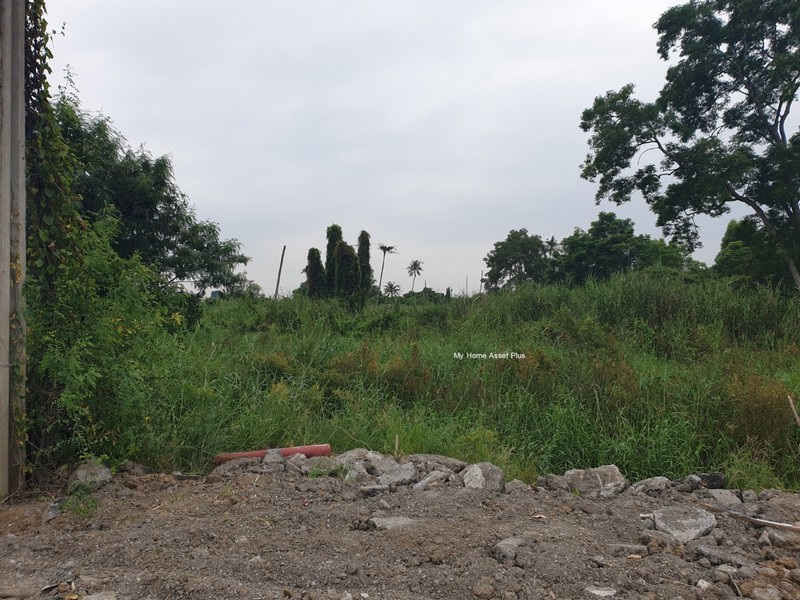 MH0012 ขายที่ 37 ไร่ ติดถนนชัยพฤกษ์ คลองพระอุดม ปากเกร็ด นนทบุรี หน้ากว้างติดแม่น้ำเจ้าพระยา