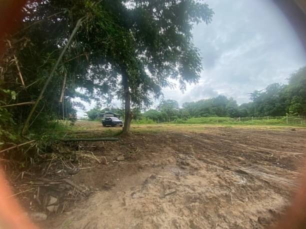 ที่ดินติดน้ำ โซนแม่ริม ขายตรว.ละ 16,000 บาท เนื้อที่ 238.6 ตรว. แม่สา ใกล้แม็คโครแม่ริม ใกล้ดอนแกล้ววิลเลจ