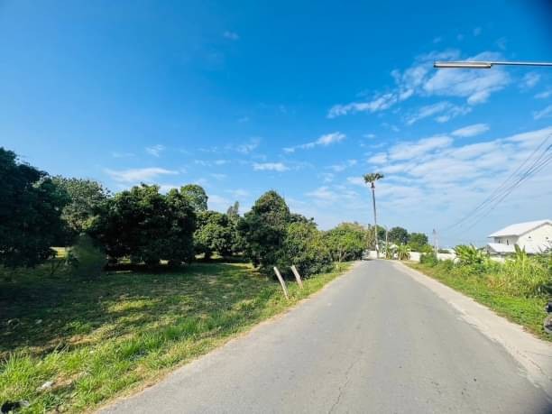 โซนแม่ริม ขายตรว.ละ 15,500 บาท เนื้อที่ 323.5 ตรว. แม่สา หลังแม็คโครแม่ริม ตรงข้ามดอนแก้ววิลเลจ