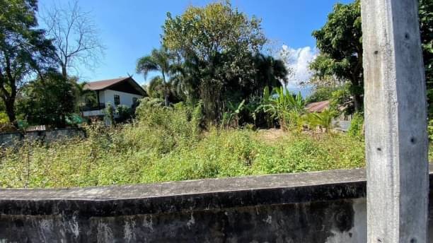 โซนช้างเผือก​ ใกล้​ศาลากลาง​ ที่ดินเปล่าแบ่งขาย 5.5 ล้าน เนื้อที่ 100 ตรว. โซนช้างเผือก อำเภอเมือง ใกล้เมือง เดินทางเข้า-ออก ได้หลายทาง