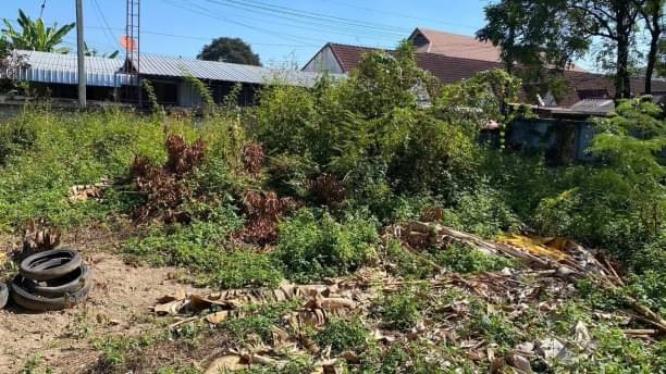 โซนช้างเผือก​ ใกล้​ศาลากลาง​ ที่ดินเปล่าแบ่งขาย 5.5 ล้าน เนื้อที่ 100 ตรว. โซนช้างเผือก อำเภอเมือง ใกล้เมือง เดินทางเข้า-ออก ได้หลายทาง