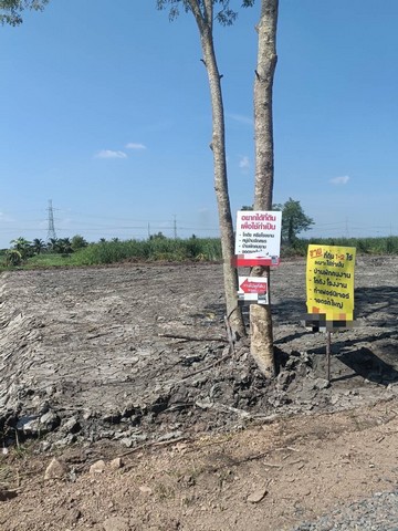 ขาย ที่ดินเปล่า ถมแล้ว เนื้อที่ 1 ไร่ หน้ากว้าง 45 เมตร คลอง 12 หนองจอก เหมาะเป็นบ้านสวน