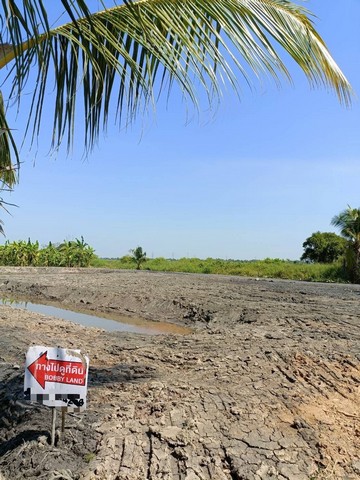 ขาย ที่ดินเปล่า ราคาถูกมาก เนื้อที่ 462 ตารางวา บรรยากาศดีมาก คลอง 12 หนองจอก กรุงเทพ