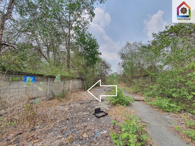 รหัส:  1957 ต้องการขาย ที่ดิน ที่ดิน 2 ไร่ คลองสี่ตะวันตก ถ.คลองหลวง ปทุมธานี ขนาดพื้นที่ 0 RAI 0 NGAN 800 ตาราง-วา  7000000 - ดีที่สุดในย่าน