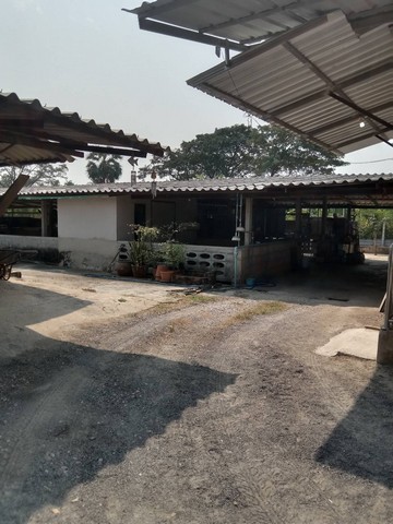 ขายที่ดิน+สิ่งปลูกสร้าง   2-3-63 ไร่  ติดถนน ด้านหลังติดคลองประดู่   อ.ปากท่อ จ.ราชบุรี  ZW321