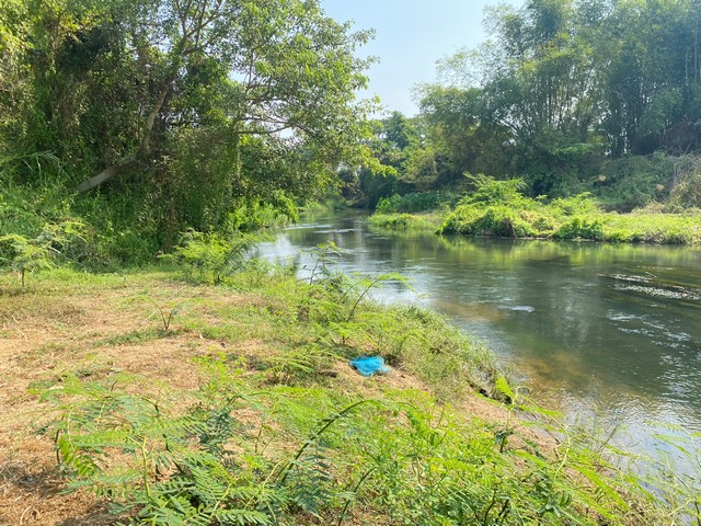 ขายที่ดินสวยติดแม่น้ำเพชรบุรี2แปลง3งานและ1ไร่ อ.ท่ายางจ.เพชรบุรีเหมาะทำรีสอร์ท คาเฟ่ บ้านพักอาศัยพักผ่อน การเกษตร