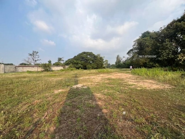 ขายที่ดินบางละมุง หนองปลาไหล ติดถนนสาธารณะ ทำเลดี ใกล้แหล่งชุมชน