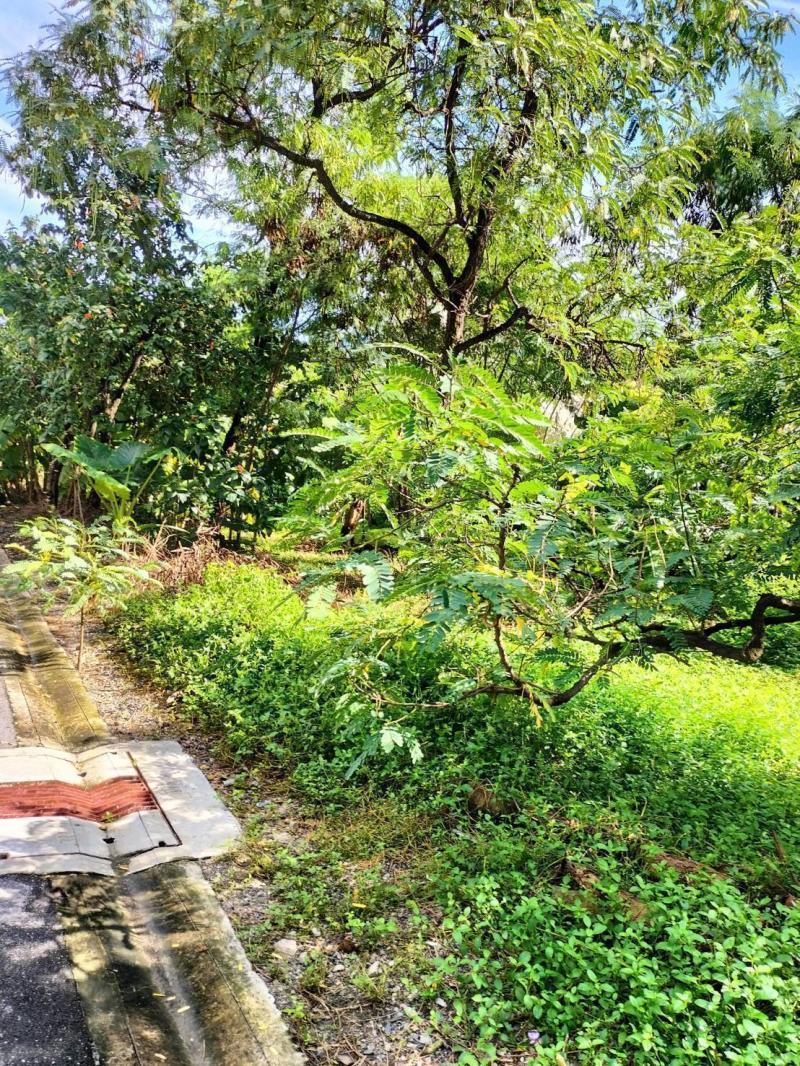 RL09ขายที่ดินเปล่า ขนาด พื้นที่ 121 ตารางวา  สุขุมวิท 101/1 แขวงบางจาก เขตพระโขนง 