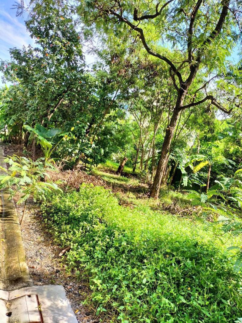 RL09ขายที่ดินเปล่า ขนาด พื้นที่ 121 ตารางวา  สุขุมวิท 101/1 แขวงบางจาก เขตพระโขนง