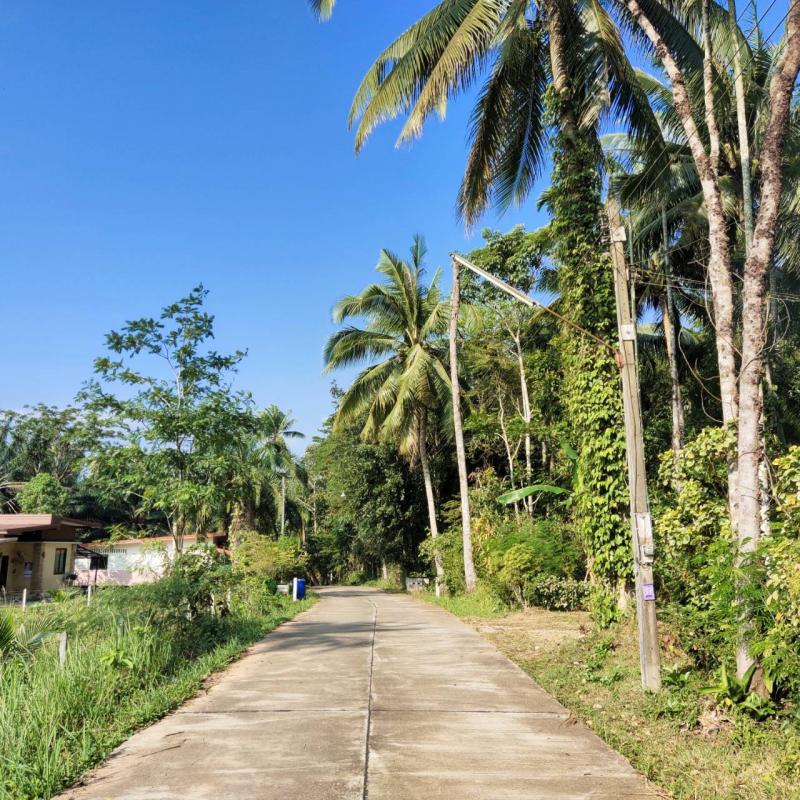 รายละเอียดทั้งหมด : ขายที่ดินเปล่าในเมืองชุมพร ตั้งอยู่บนเขาน้อย ใกล้ถนนบายพาสตัดใหม่ แยกวังเกลือ– เนื้อที่ดินมีโฉนดขนาด 131 ตร.วา รูปทรงสี่เหลี่ยมผืนผ้าสวยมาก เหมาะกับการสร้างบ้าน– อยู่ใกล้แหล่งสาธารณูปโภคครบครันใกล้โรงพยาบาลชุมพร โรงเรียนประจำจังหวัด ตลาดนัดคนเดิน สนามกีฬา สวนสาธารณะ  การคมนาคมสะดวก รถไม่ติด อากาศดี เงียบสงบ ร่มรื่นราคาขาย 1,111,111 บาทค