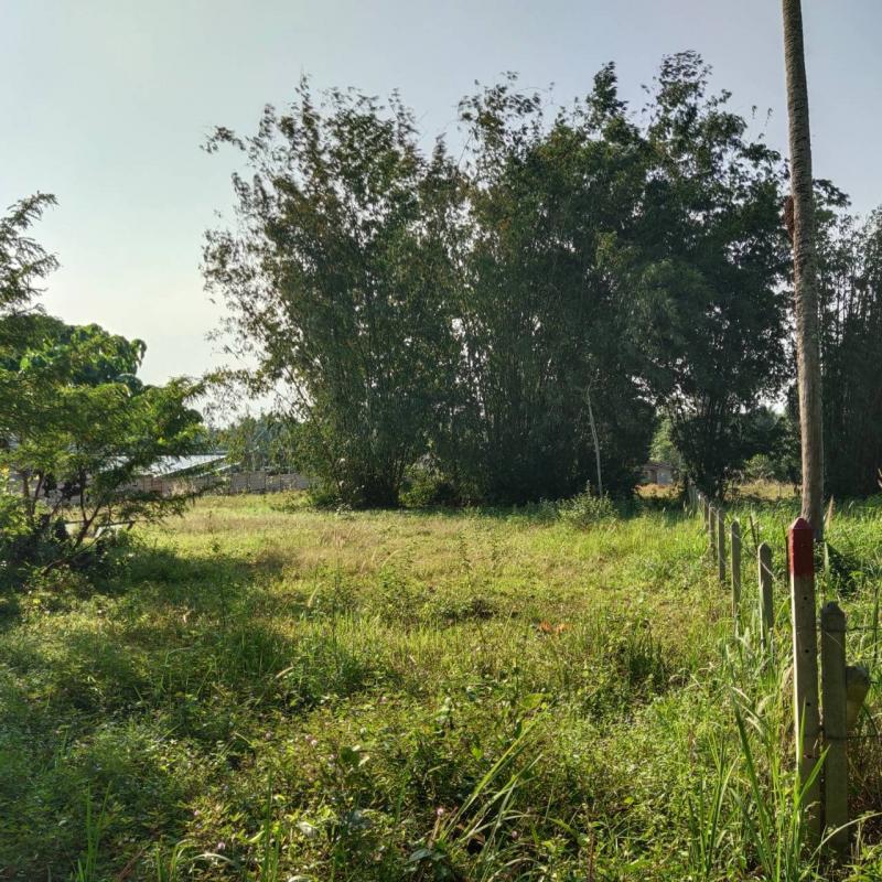 ขายที่ดินเปล่าในเมืองชุมพรด่วน สวยมาก ตั้งอยู่บนเขาน้อย ใกล้ถนนบายพาสตัดใหม่ แยกวังเกลือ