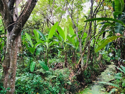 รหัส : F4111ประเภททรัพย์สิน : ที่ดินเปล่าทำเลต่างๆ : ต่างจังหวัดรายละเอียดย่อ :ราคาขาย 1,500,000 บาทรายละเอียดทั้งหมด :ขายที่ดิน อ.เมือง จ.กระบี่ ซอยตรงข้าม หมวดทางหลวงกระบี่ปากซอยมีศูนย์รถยนต์ GWMขายทั้งหมด 6 แปลง สุดท้ายแปลงละเกือบ 20 ตารางวาราคาแปลงละ 250,000 บาทสถานที่สำคัญใกล้เคียงห้างบิ๊กซี 500 เมตรห้าง โลตัส 1 กิโลเมตรสนามกีฬาเมืองกระบี่ 1.8 กิโลเมตรโรงเรียนเมืองกระบี่ 2.3