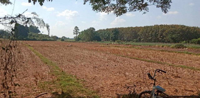 กุมภานี้มีทรัพยืดีมานำเสนอราคาต่อรองได้  ขายที่ติดน้ำโขง ต.กุดบง อ.โพนพิสัย จ.หนองคาย หน้าติดถนนโยธาธิการ หลังติดแม่น้ำโขง ไร่ละ 2ล้านบาท โทร 096-882-1857