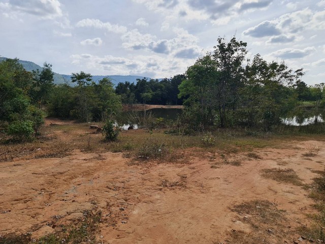 ขายที่ดินติดภูเขา ภูเวียง ที่ดินวิวเขาสวยงามมากธรรมชาติสุดสุด อากาศดีปลอดโปร่งร่มเย็นสบาย มีบ่อน้ำสาธารณะใช้ประโยชน์อุปโภคได้ ที่ดินตั้งอยู่ที่  หมู่ที่ 14 ต.นาจาน อ.สีชมพู จ.ขอนแก่น เนื้อที่รวม 124-2-73 ไร่ มี 6 โฉนด เช่า 1200 บาท/ไร่/ปี  แบ่งขายเป็นไร่ๆ ราคาไร่ละ 300,000 บาท   แบ่งขายเพียง 2 โฉนดเท่านั้น ค่าใช้จ่ายวันโอนทั้งหมดคนละครึ่ง ,ฉ.13243 เนื้อที่ 21-2-27 ไร่ฉ.13244 เนื้อที่ 23-2-52 